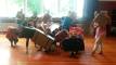 Prowoende1